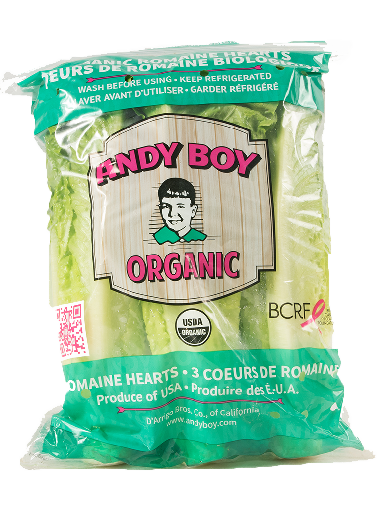 andy boy romaine hearts andy boy romaine hearts