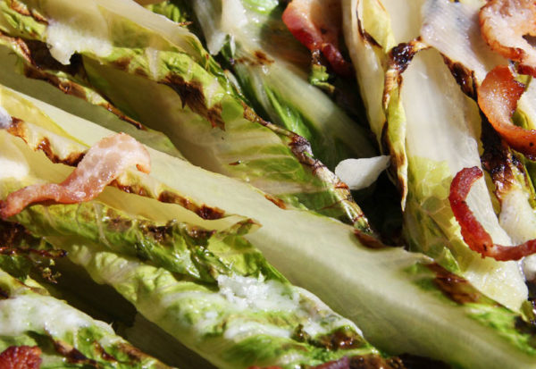 andy boy romaine hearts andy boy romaine hearts